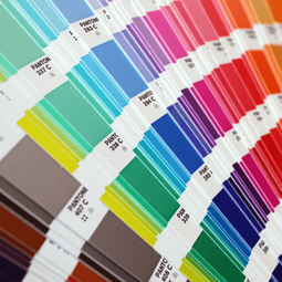 Aus Painting Pty Ltd
